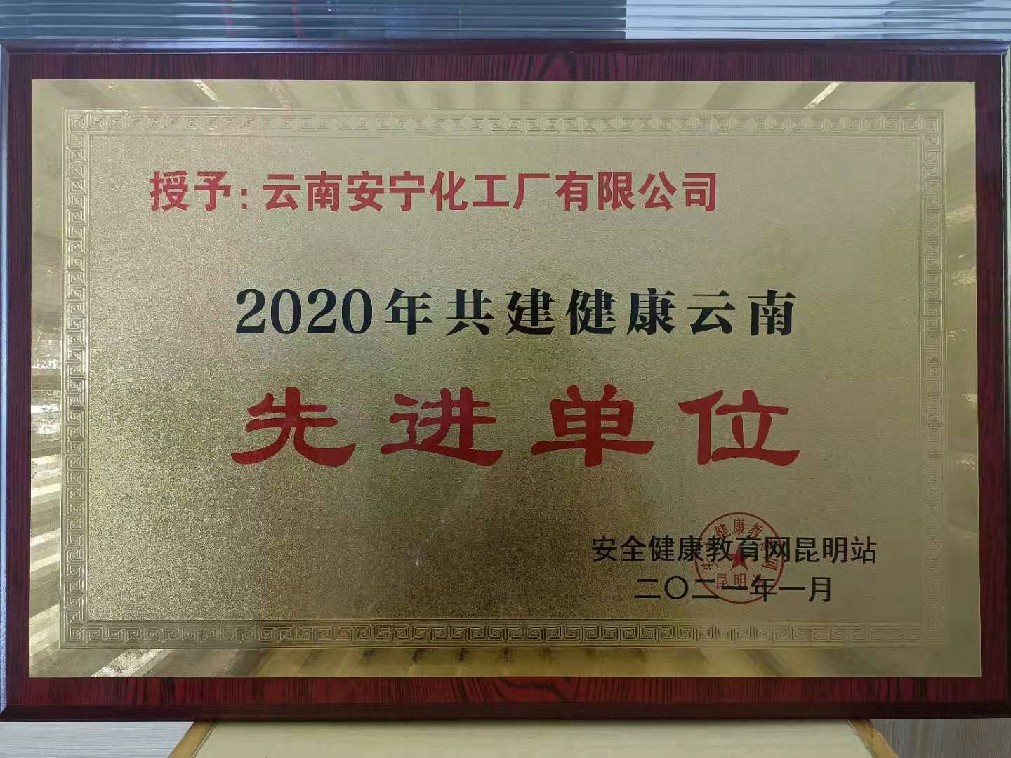 2020年共建健康云南先進(jìn)單位